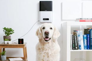 美國(guó)智能睡眠儀 科技如何重塑你的夜間生活